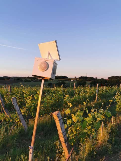 Château Arton : The Secrets of Haut-Armagnac Experience - Who Will Enjoy This Tour?