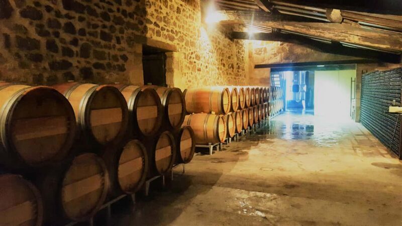 Château Cantelaube: tour and tasting at an unusual wine estate - Key Points