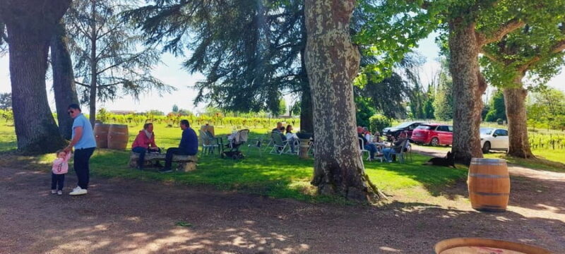 Château Cantelaube: tour and tasting at an unusual wine estate - The Sum Up