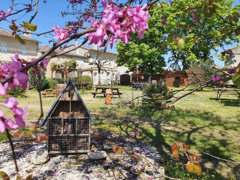 Château Champion: Picnic at the winemaker's - A Closer Look at the Château Champion Experience