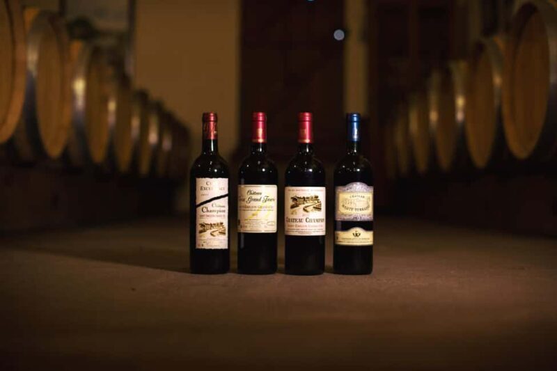 Château Champion: Picnic at the winemaker's - Who Would Love This Tour?