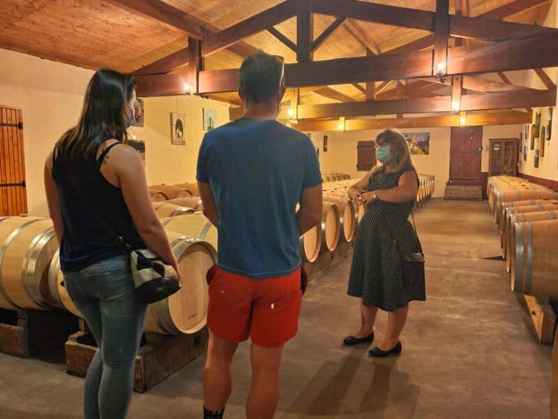 Château Champion: Tour and tasting with tapas - Key Points
