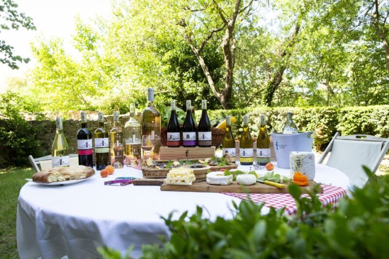 Château de Luc: Unique visit and wine tasting - Why this tour offers excellent value