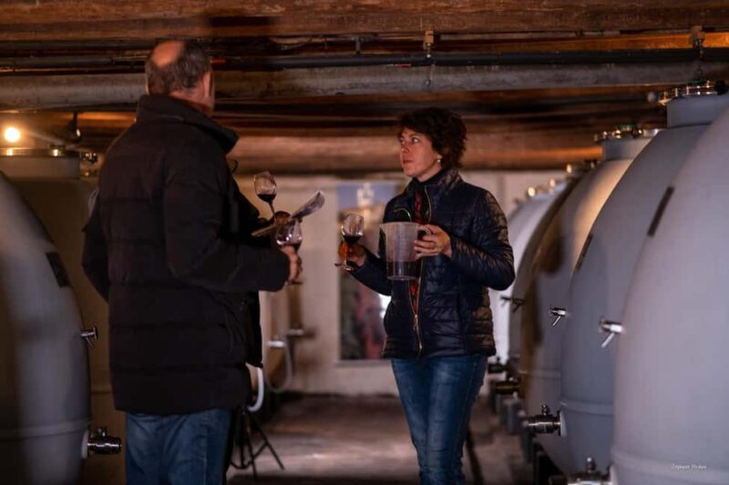 Château de Terride: tour of the wine cellar & wine tasting - Château de Terride: Tour of the Wine Cellar & Wine Tasting