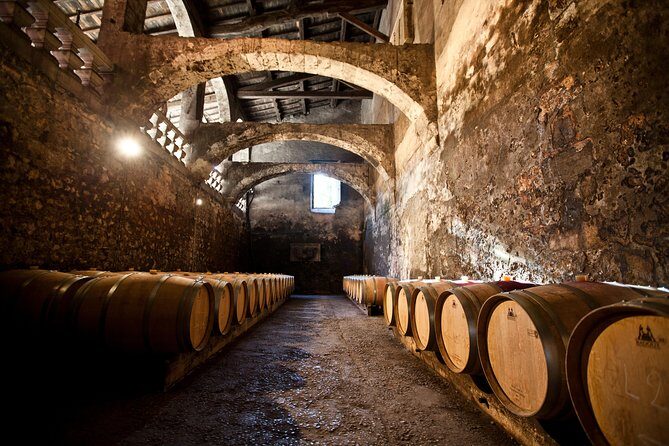 Chateau du Taillan and Park including Wine Tasting Tour - An In-Depth Look at the Château du Taillan Experience