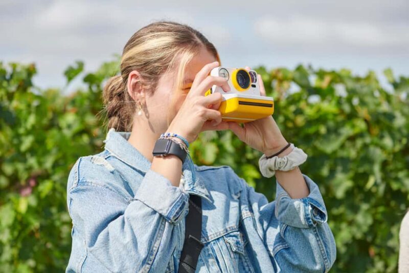 Château Fleur Cardinale: Panoramic Tour Walk through the vineyards - Exploring Château Fleur Cardinale: What to Expect