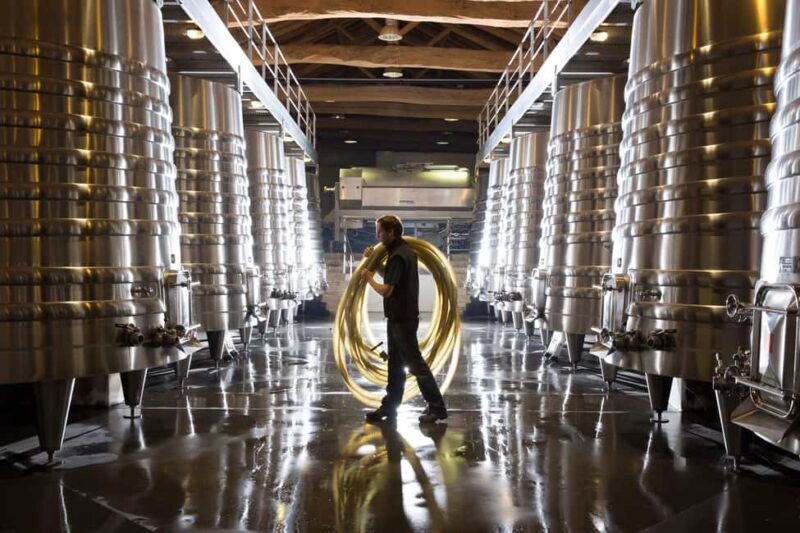 Château Olivier: One Hour Vineyard Tour with Wine Tasting - An In-Depth Look at Château Olivier’s Vineyard Tour