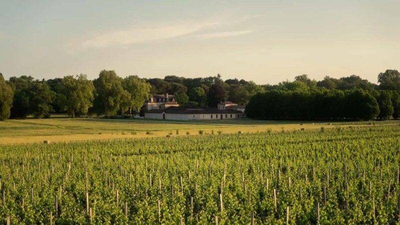 Château Olivier: One Hour Vineyard Tour with Wine Tasting - FAQ