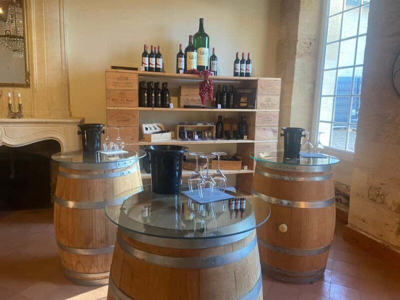 Château St-Emilion Grand Cru visit and Grand Cru and Pomerol tasting - Who Will Love This Experience?