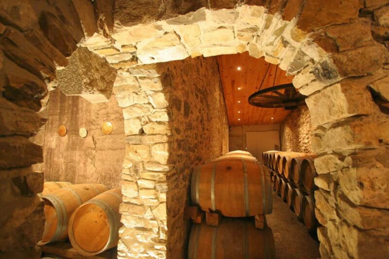 Château Villemagne: Tour of the cellar and tasting of our wines. - A Deep Dive into the Château Villemagne Experience