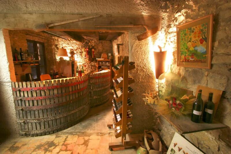 Château Villemagne: Tour of the cellar and tasting of our wines. - Practical Details & Tips for Visitors