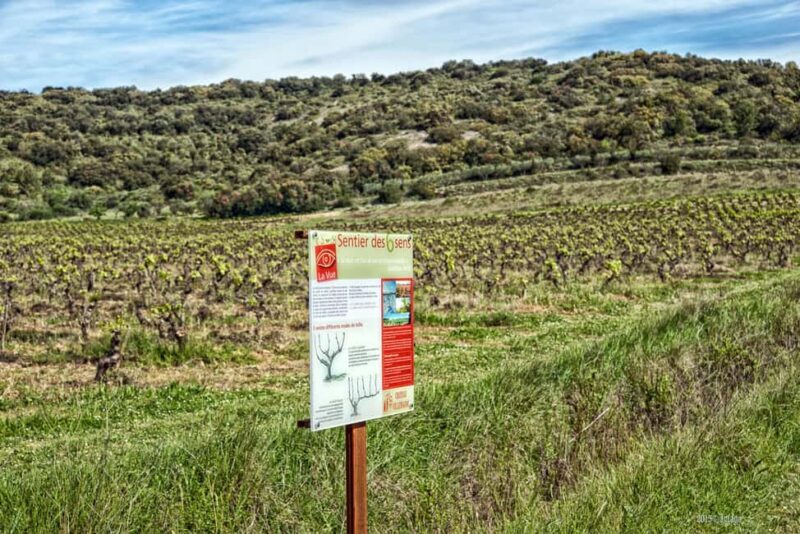 Château Villemagne: Tour of the cellar and tasting of our wines. - FAQs