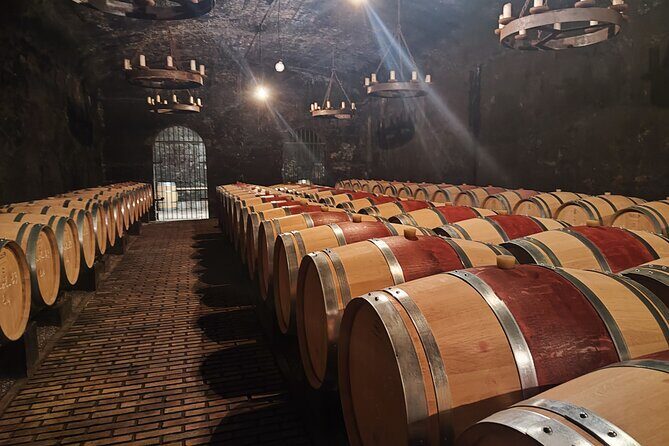 Chateauneuf du Pape and Luberon vineyard tour from Avignon - Key Points