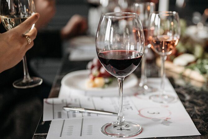 Chateauneuf du Pape and Luberon vineyard tour from Avignon - Who Would Love This Tour?