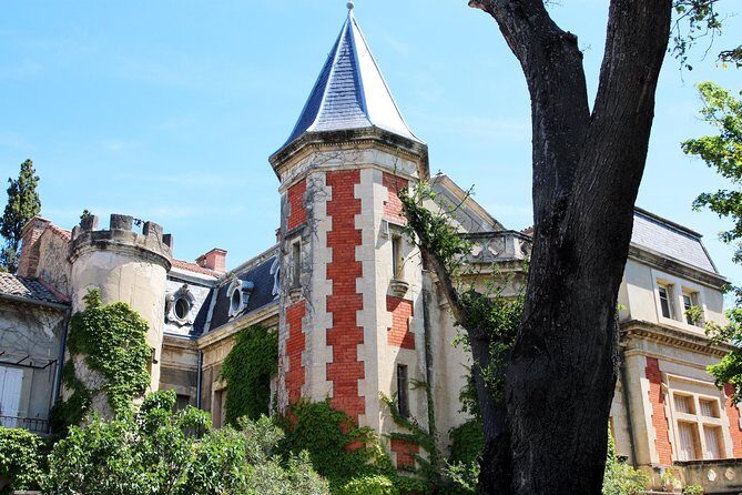 Châteauneuf Du Pape intensive vineyard & fine wine experience - Why This Tour Offers Real Value
