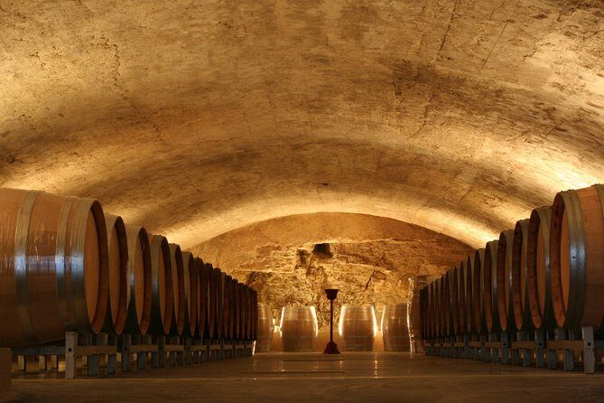 Châteauneuf du Pape Wine Day Tasting Tour including Lunch from Avignon - Final Thoughts: Who Is This Tour Best For?