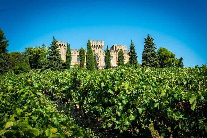 Chateauneuf du Pape wine tour - Transportation and Group Size