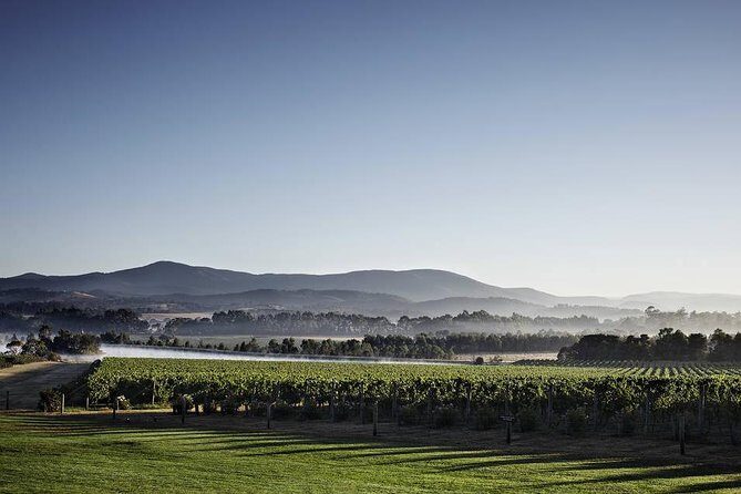 Chauffeured Cheese and Wine Tour with 3 Course Lunch - For 2 - Who Will Enjoy This Tour?
