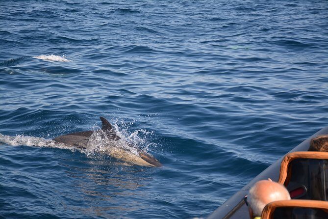 Cheapest Family Friendly Boat Trip From Vilamoura Algarve - Wrapping Up