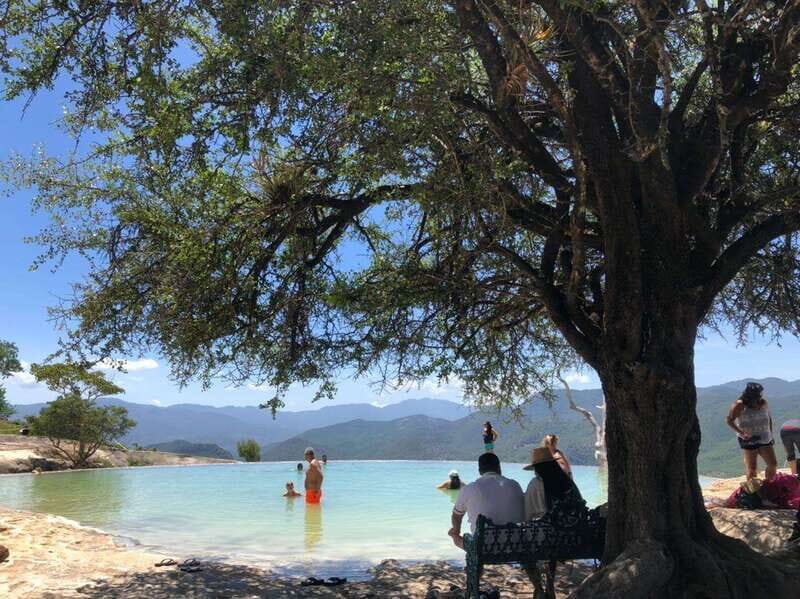 Check out Hierve el Agua, Mitla, the Tule Tree, Rugs, and a Mezcal Distillery Tour - Key Points