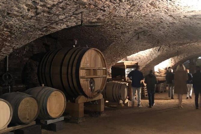 Cheese and Wine Accord Tour at Château de Champ-Renard - The Sum Up: Who Will Love This Tour?