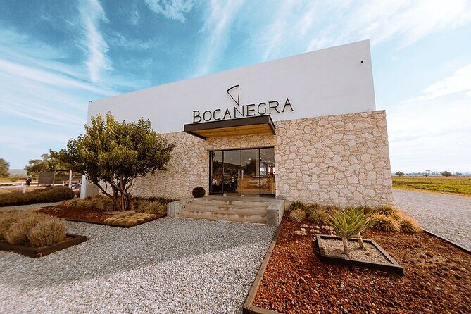 Cheese and Wine Route Tour with starting from Querétaro - A Closer Look at the Itinerary and What to Expect