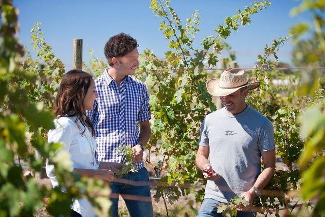 Cheese and Wine Route Tour with starting from Querétaro - FAQ