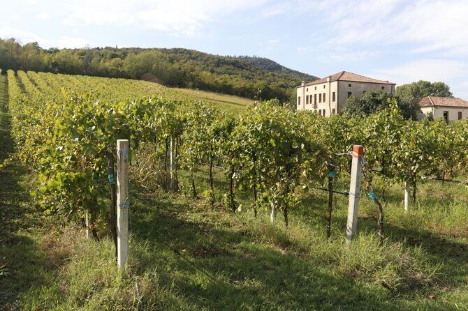 Cheese dairy farm, winery, liqueurs and spirits, ham and sausage factory - Who Would Love This Tour?