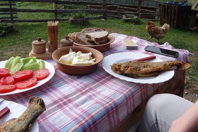 Cheese farm tour in the katun - A cheese lover’s adventure in Montenegro’s rural heartland