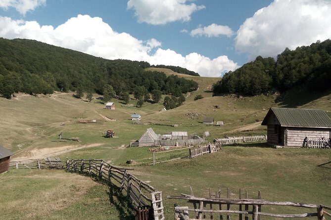 Cheese farm tour in the katun - Key Points