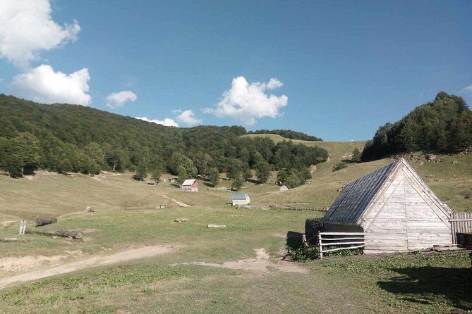Cheese farm tour in the katun - In-depth look at the itinerary and experience