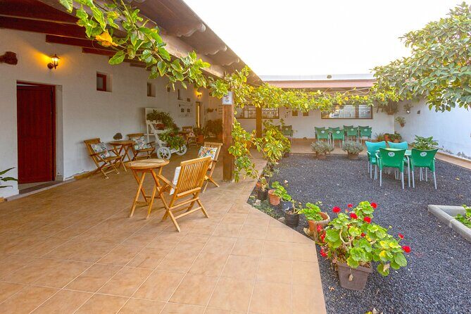 Cheese Making Workshop in Fuerteventura with Breakfast - A Closer Look at the Tour Experience