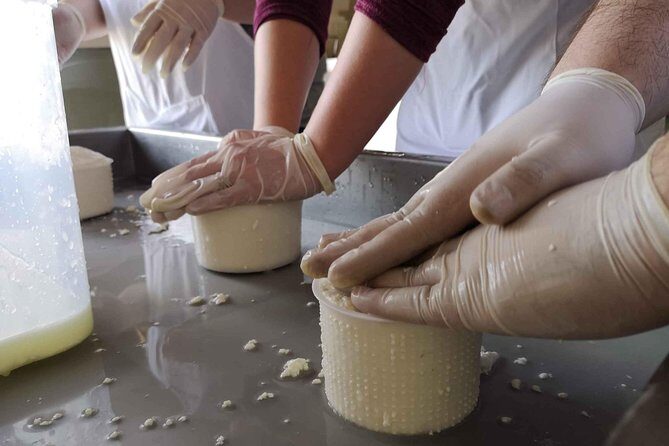 Cheese & ricotta making  Teramo (Abruzzo) Italy - Who Should Consider This Tour?