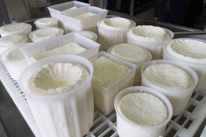 Cheese & ricotta making  Teramo (Abruzzo) Italy - FAQ