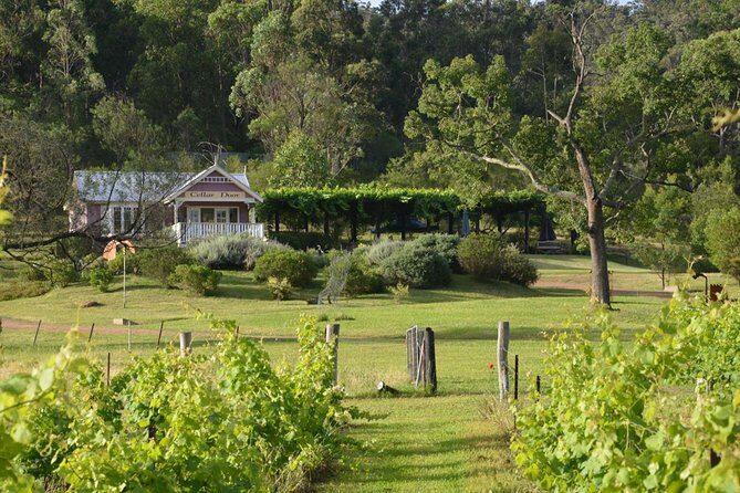 Chef-Led Hunter Valley Gourmet Food and Wine Day Tour from Sydney - Transportation, Duration, and Practicalities