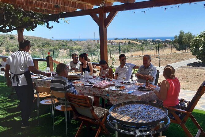 Chefcooking Paella from our Andalusian Grandmother at a Family Farm - An In-Depth Look at the Experience