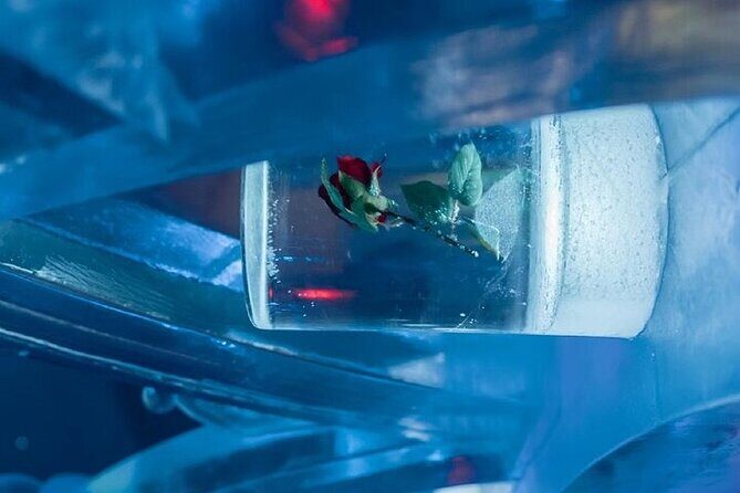 Chena Hot Spring Day Tour - Chena Hot Spring Day Tour: An Authentic Alaskan Escape