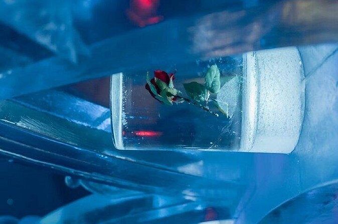 Chena Hot Spring Day Tour - FAQ