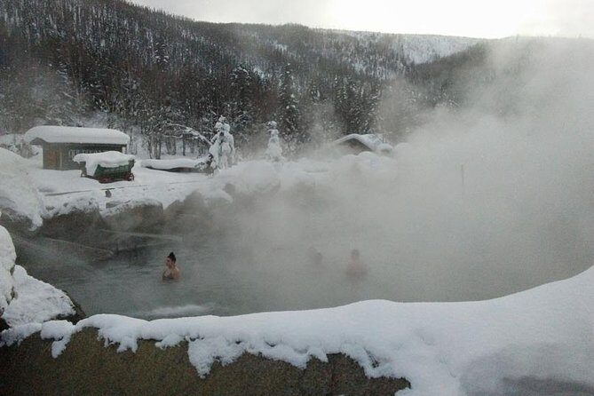 Chena Hot Springs Aurora Tour - Key Points