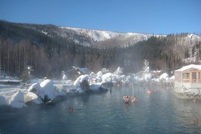 Chena Hot Springs Tour - A Deeper Dive Into the Experience