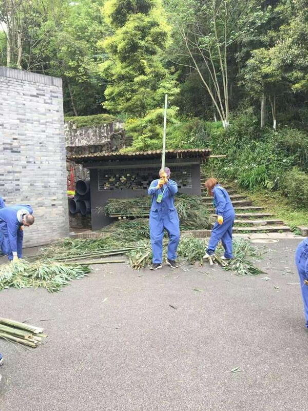 Chengdu: 4-Day Wolong In-Depth Panda Tour - Chengdu: 4-Day Wolong In-Depth Panda Tour