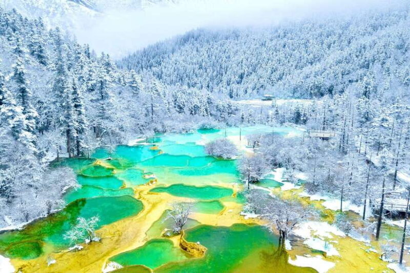 Chengdu: 5-Day Jiuzhaigou and Dujiangyan Tour with Panda - Key Points