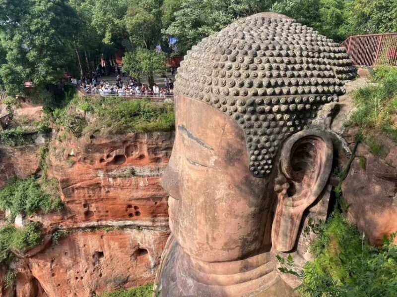 Chengdu: Chengdu Day Trip with Giant Panda and Leshan Buddha - Key Points