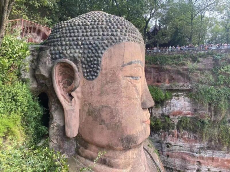 Chengdu: Chengdu Day Trip with Giant Panda and Leshan Buddha - What Travelers Say