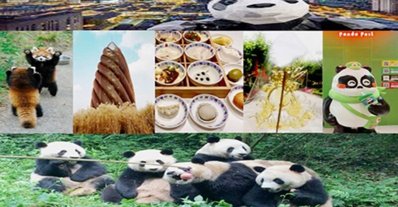Chengdu downtown essences private day tour - Additional Questions