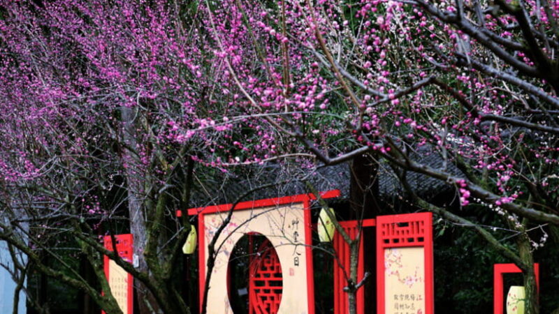 Chengdu: Du Fu Thatched Cottage Poetry Museum - Who Should Consider Visiting?