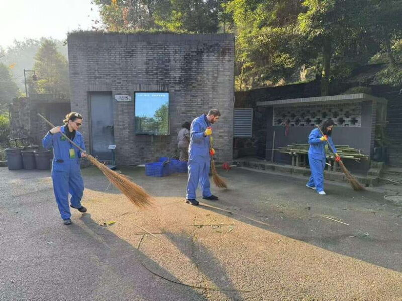 Chengdu: Dujiangyan Panda Base Volunteering Day Trip - Key Points