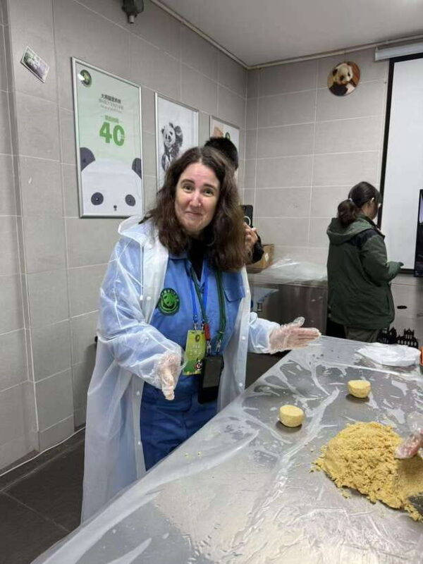 Chengdu: Dujiangyan Panda Base Volunteering Day Trip - Analyzing the Value