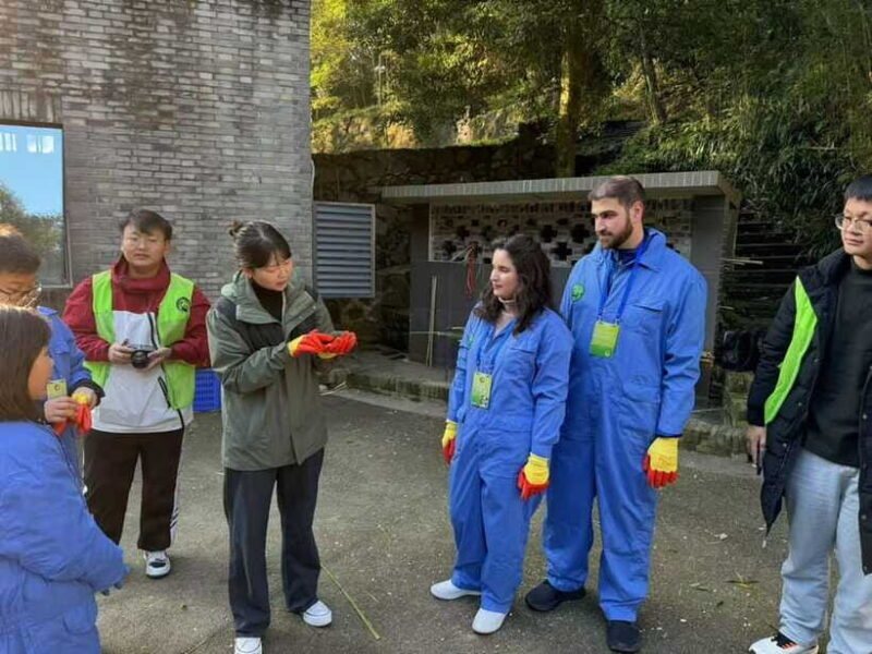 Chengdu: Dujiangyan Panda Base Volunteering Day Trip - Who Will Love This Tour?