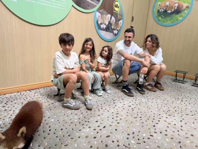 Chengdu: Dujiangyan Panda Base Volunteering Day Trip - FAQ